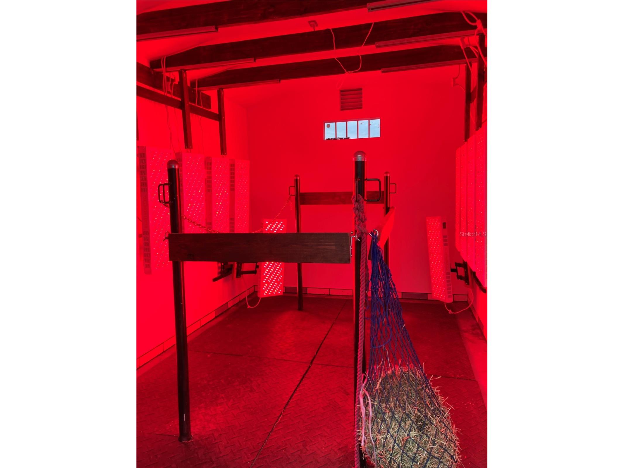 20462 SW 36th Street Dunnellon FL 34431 OM715927 image46