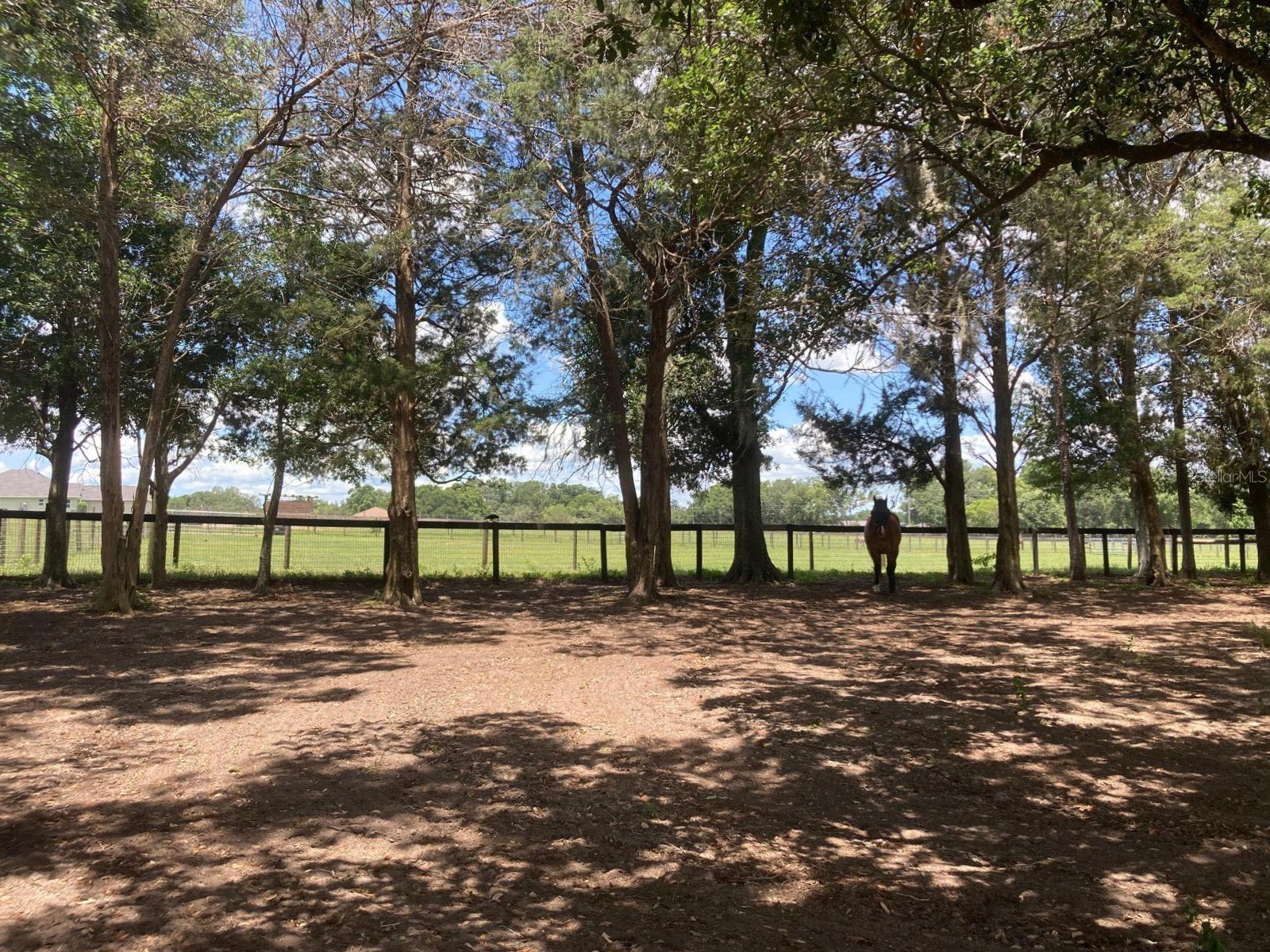 20462 SW 36th Street Dunnellon FL 34431 OM715927 image49