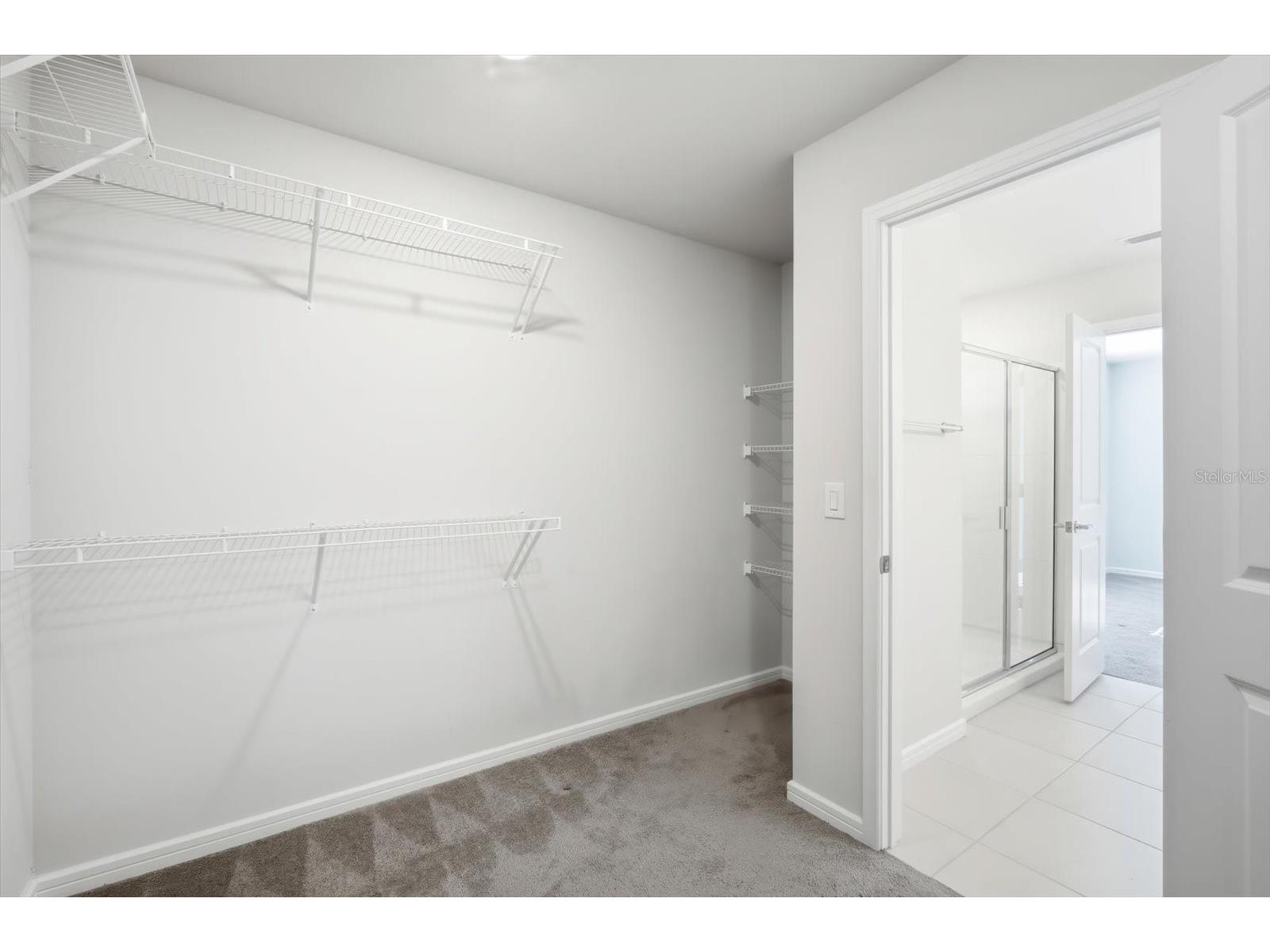 20466 Monza Loop Land O Lakes FL 34638 TB8472565 image13