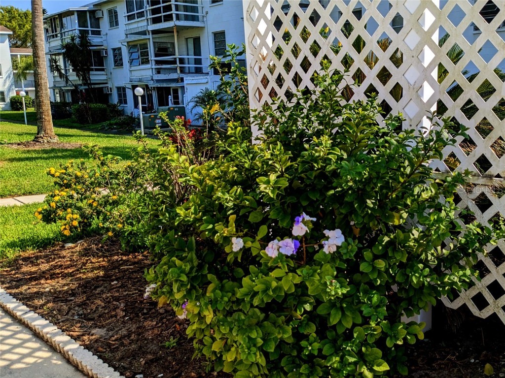 2047 Canal Drive #L-6 Bradenton FL 34207 A4658927 image24