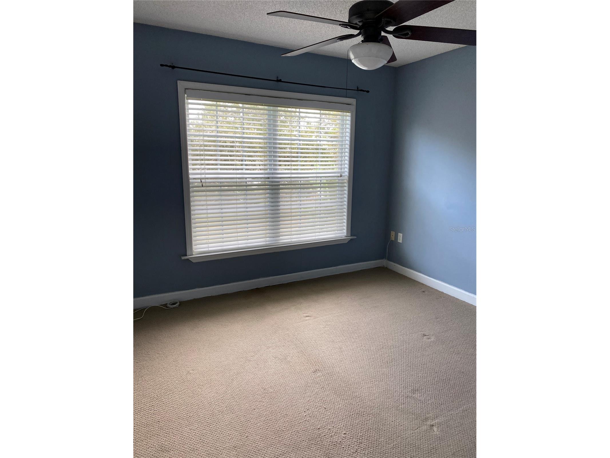 2047 Dixie Belle Drive #2047H Orlando FL 32812 S5149197 image7