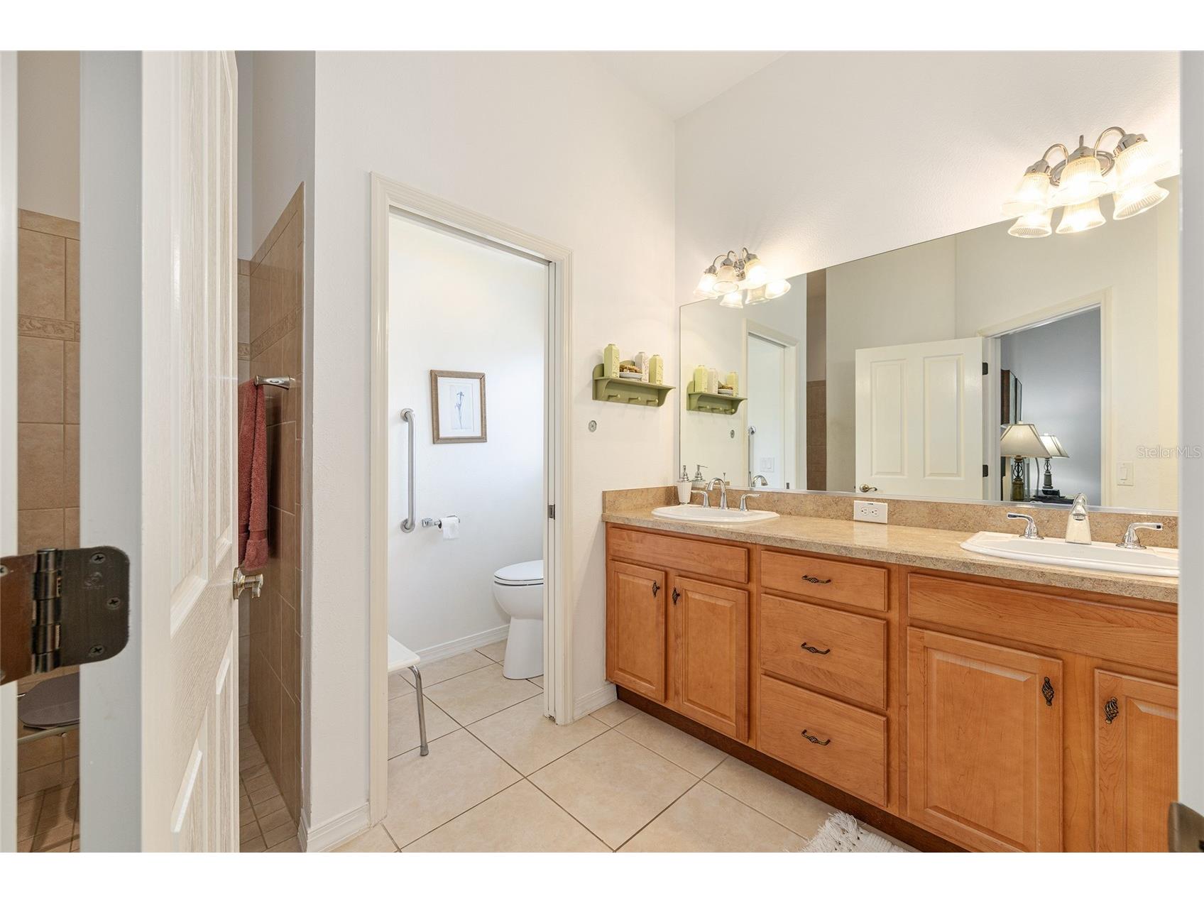 2047 Dunster Court The Villages FL 32162 OM725287 image38