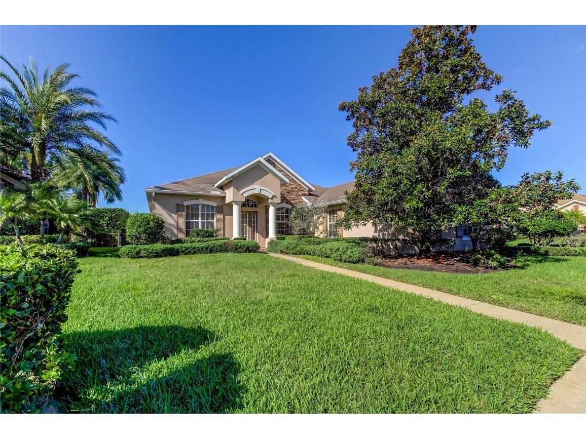 2047 Gold Dust Court Trinity FL 34655 TB8311317 image1