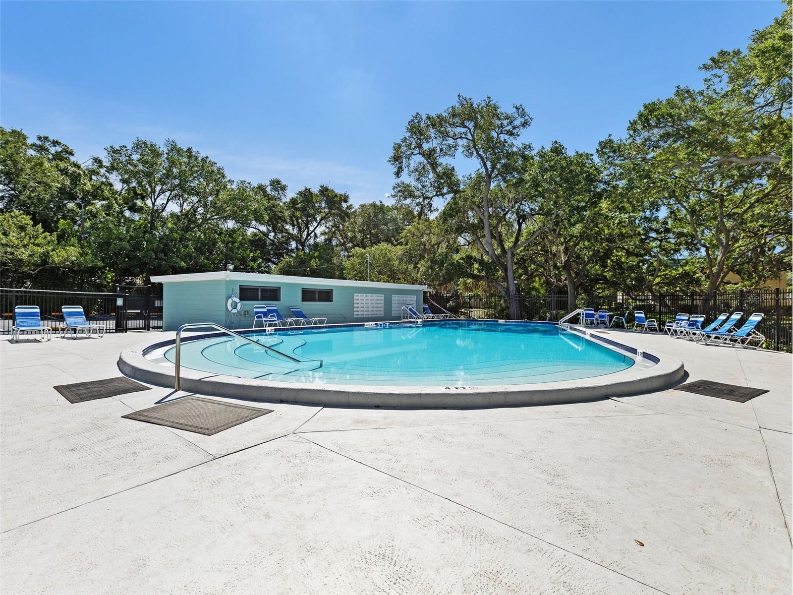 2047 Greenbriar Boulevard Clearwater FL 33763 OM723771 image23