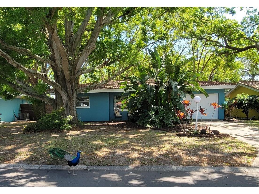 2047 Indigo Drive Clearwater FL 33763 TB8366813 image1