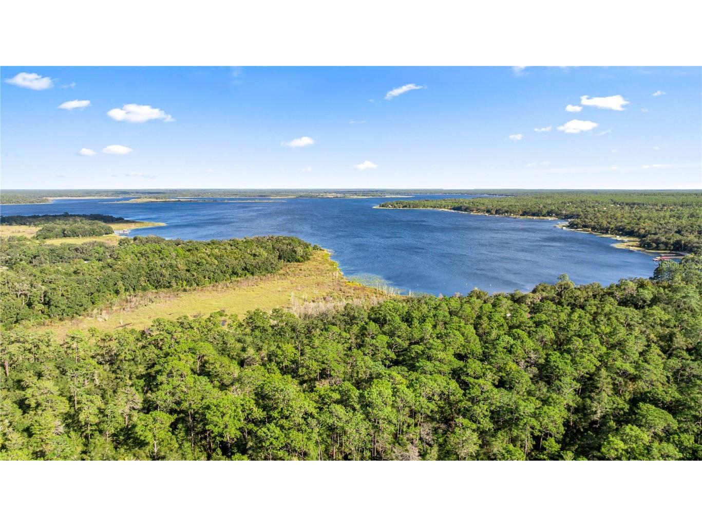 20470 NE 142nd Lane Fort Mc Coy FL 32134 OM712170 image17