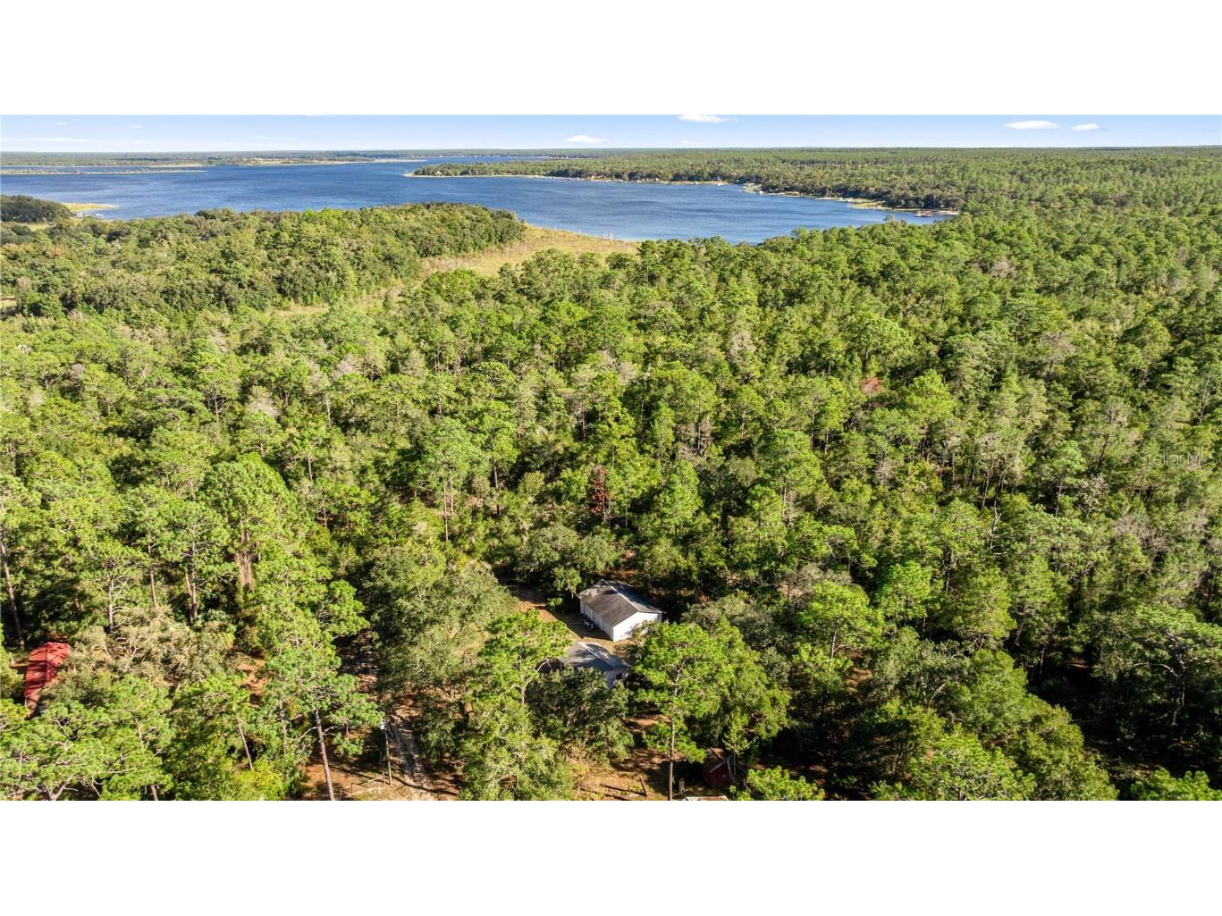 20470 NE 142nd Lane Fort Mc Coy FL 32134 OM712170 image21