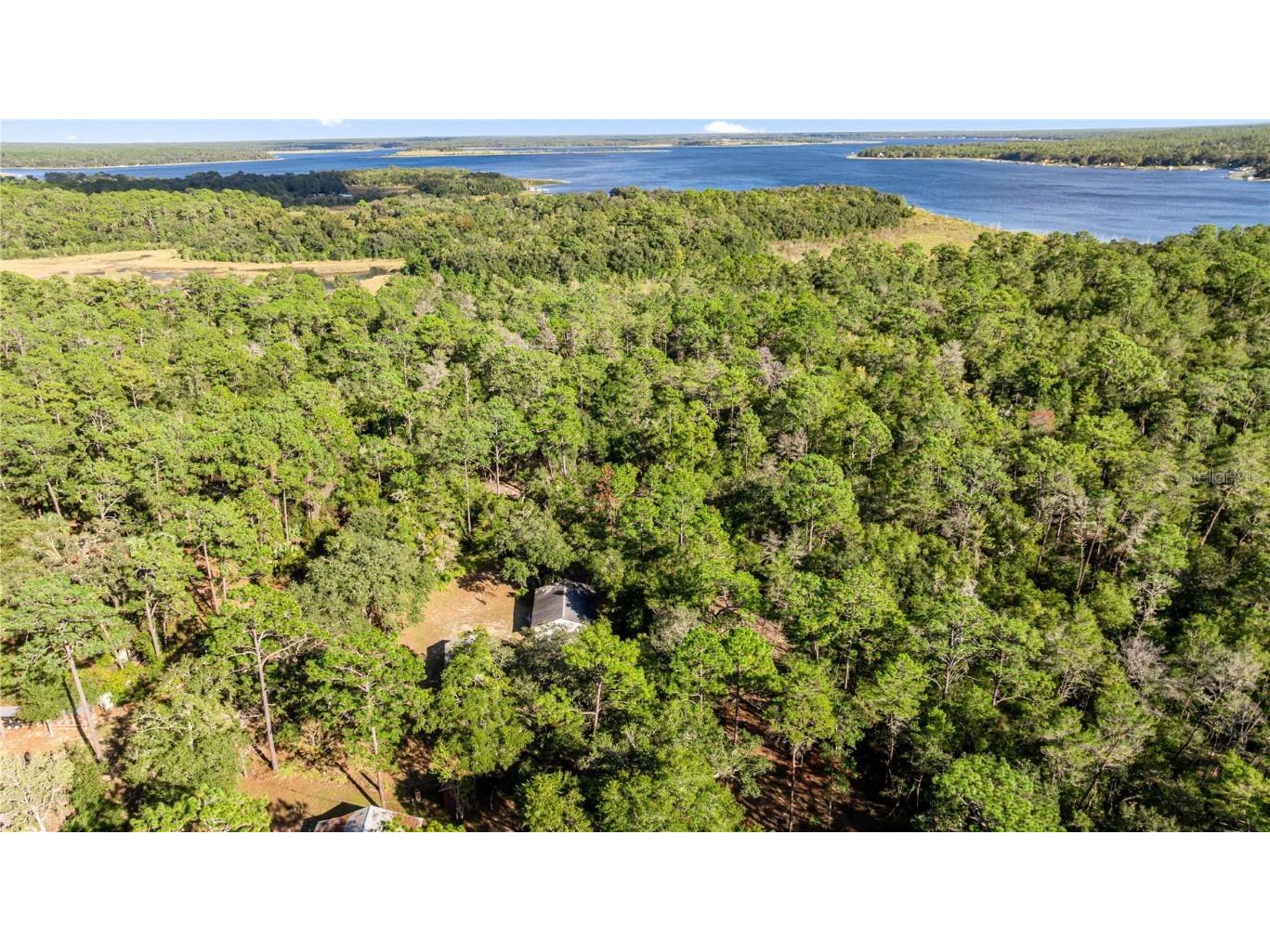 20470 NE 142nd Lane Fort Mc Coy FL 32134 OM712170 image22