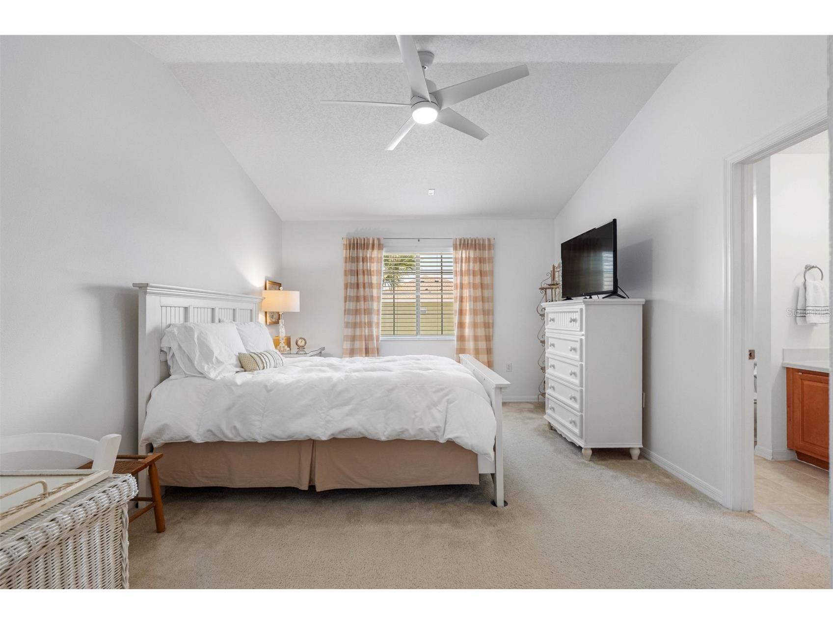 20470 Needletree Drive Tampa FL 33647 TB8493565 image21
