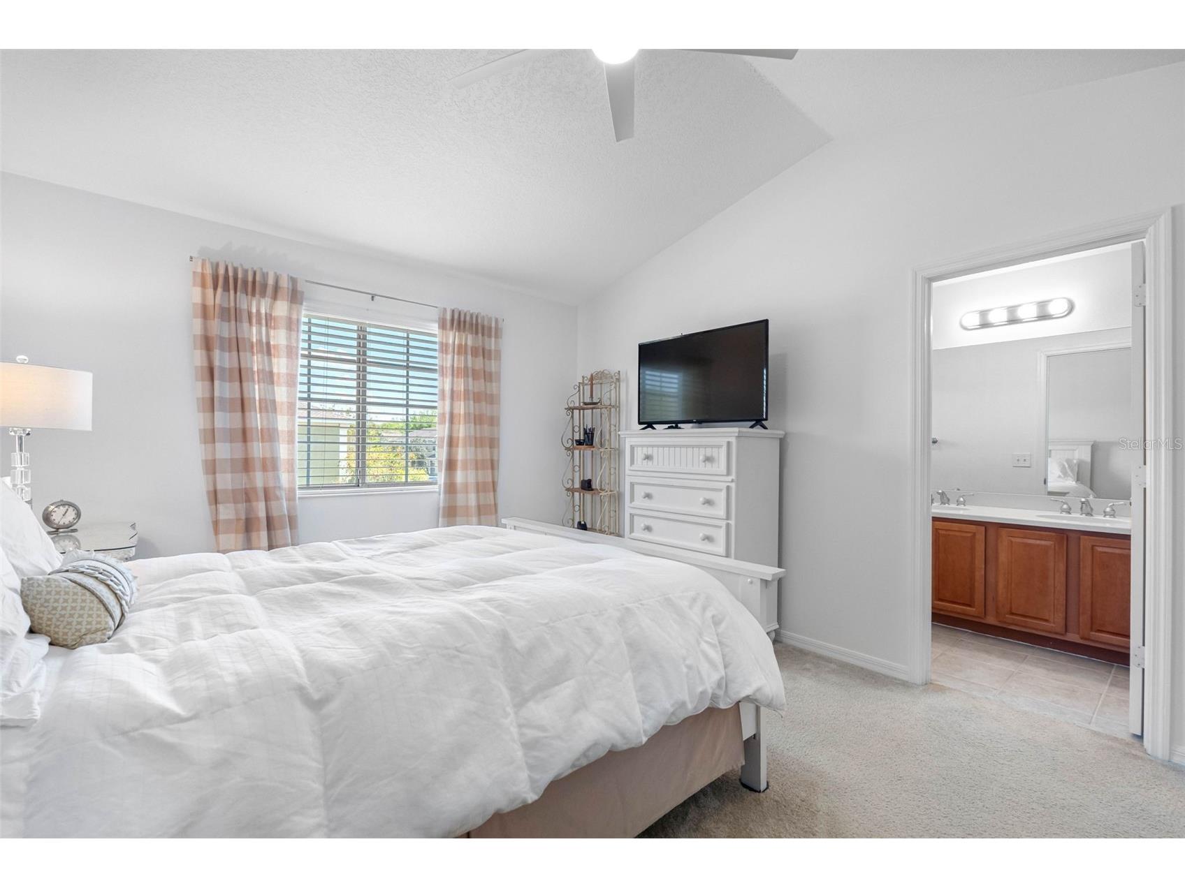 20470 Needletree Drive Tampa FL 33647 TB8493565 image24
