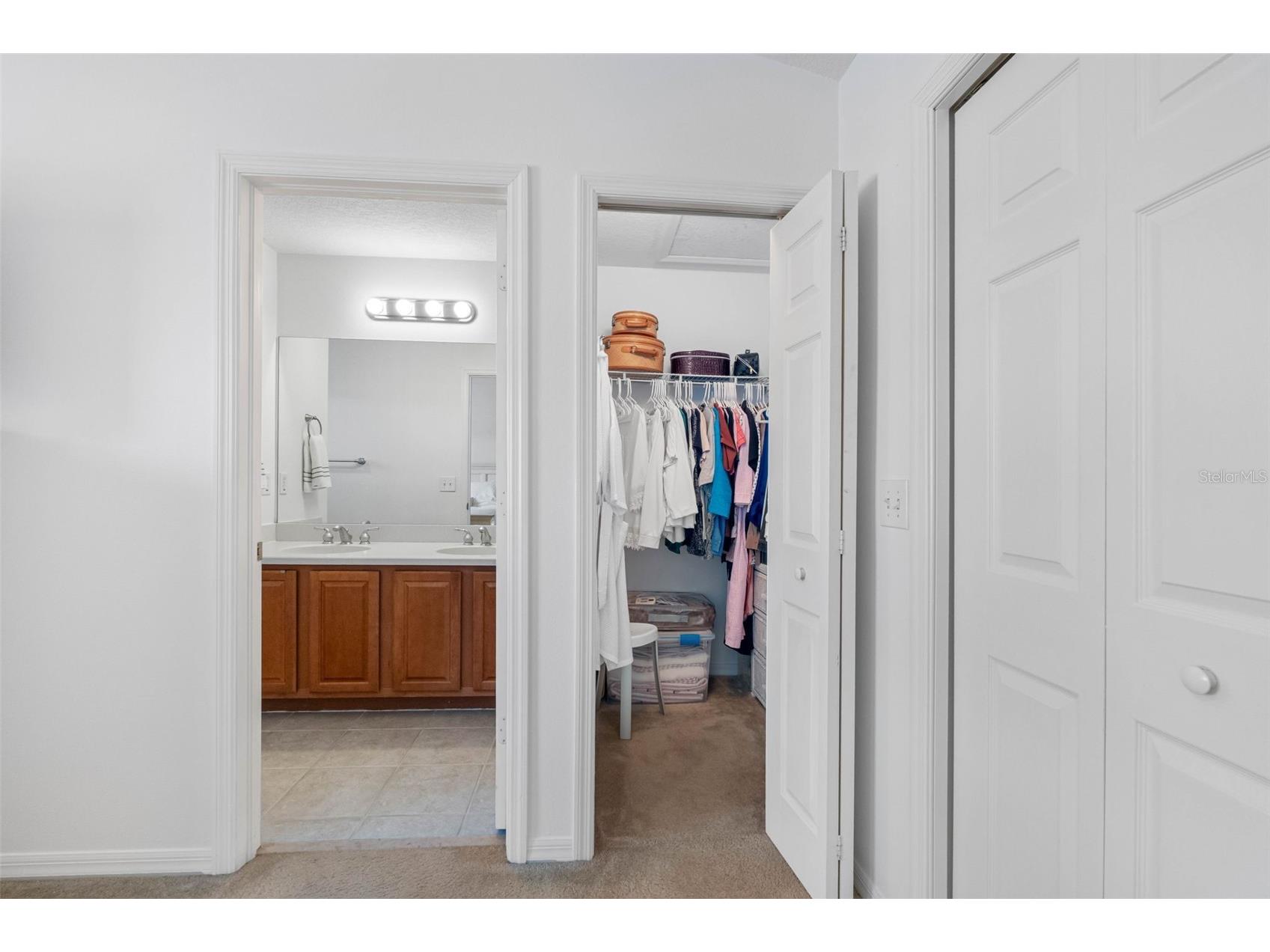 20470 Needletree Drive Tampa FL 33647 TB8493565 image25