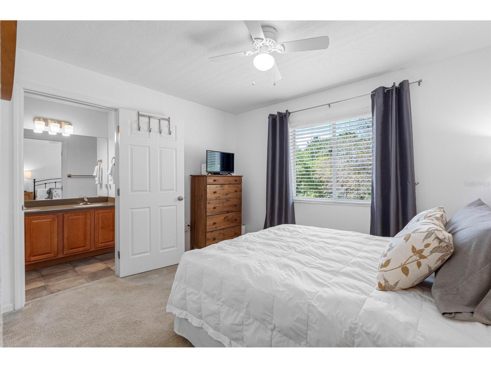 20470 Needletree Drive Tampa FL 33647 TB8493565 image30