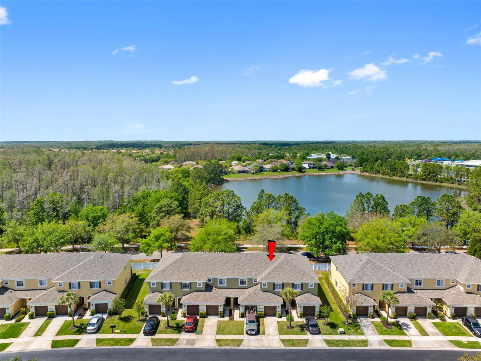 20470 Needletree Drive Tampa FL 33647 TB8493565 image33