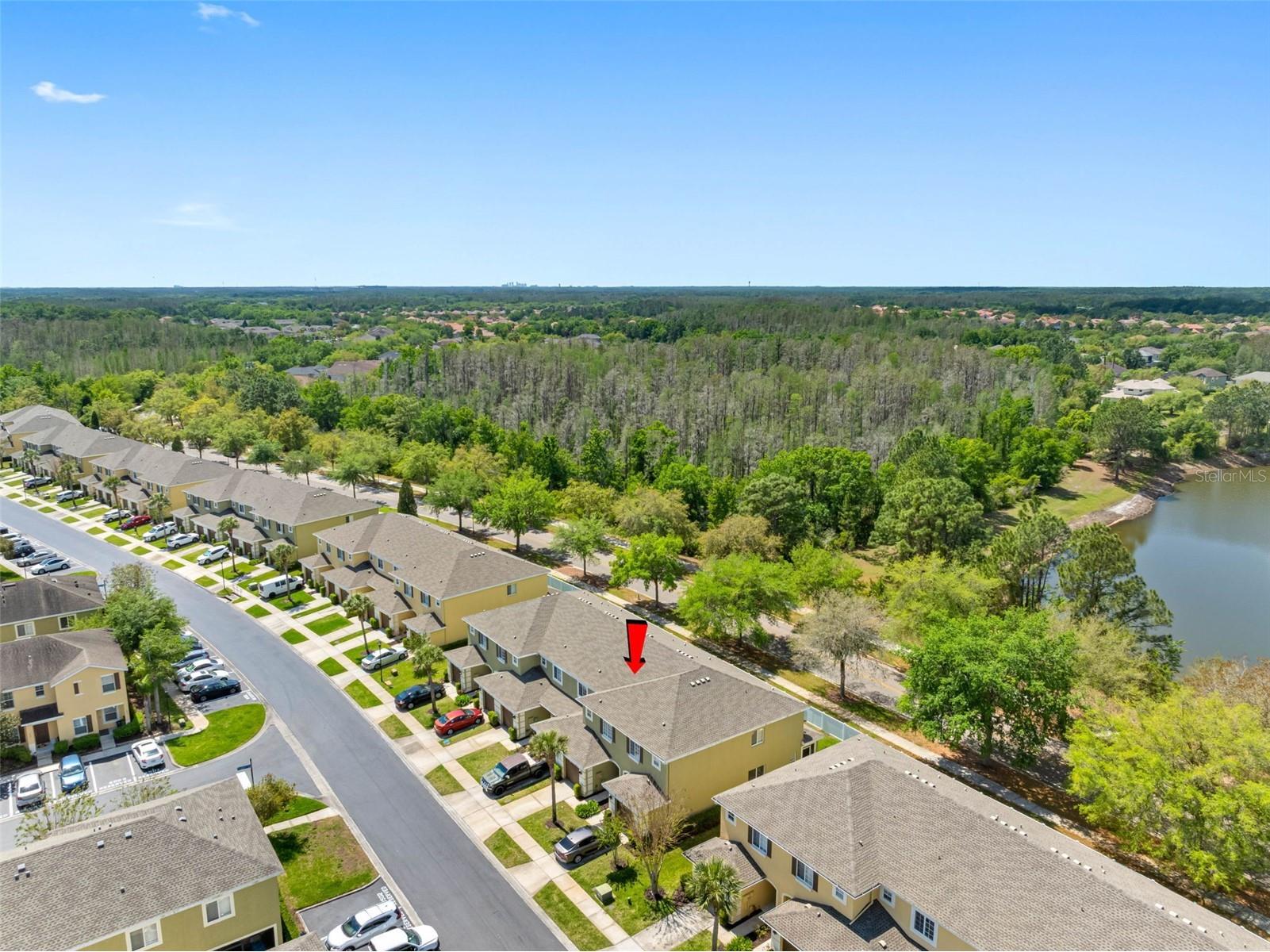 20470 Needletree Drive Tampa FL 33647 TB8493565 image34
