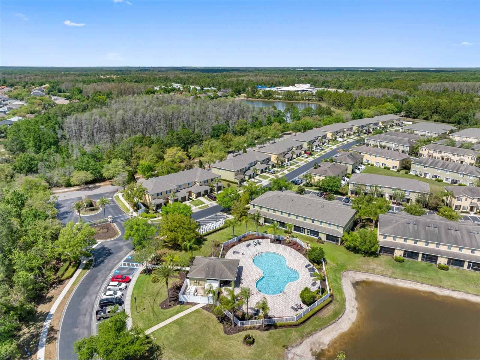 20470 Needletree Drive Tampa FL 33647 TB8493565 image38