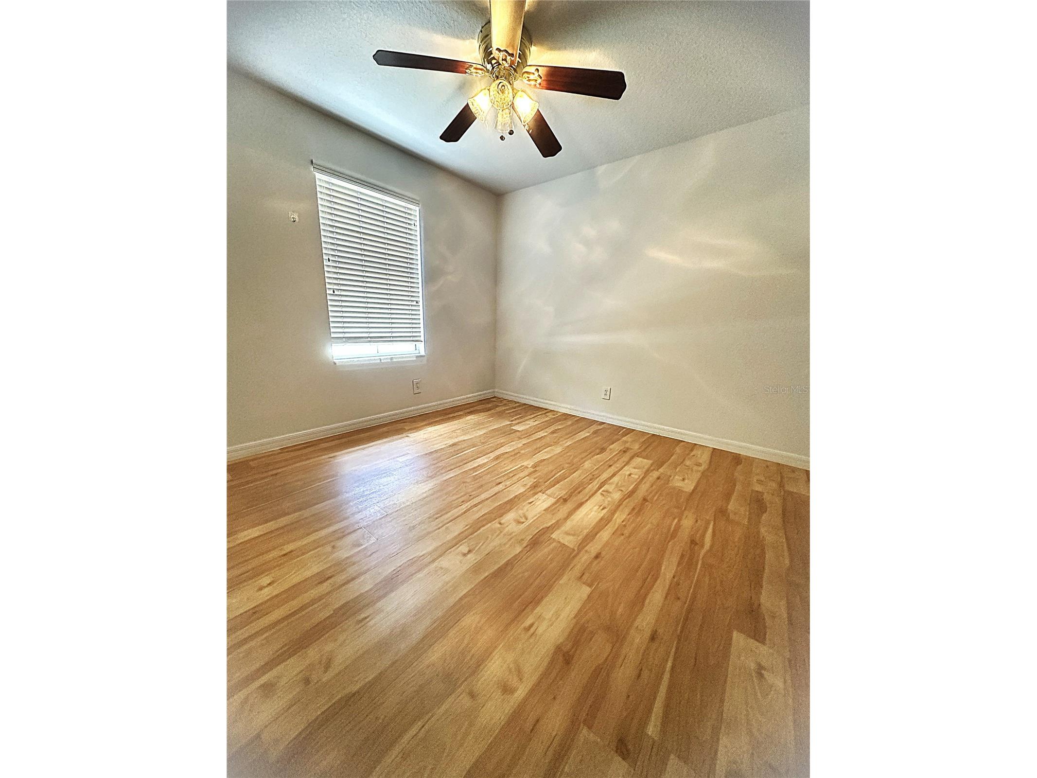 2048 Sun Down Drive Clearwater FL 33763 TB8506531 image24