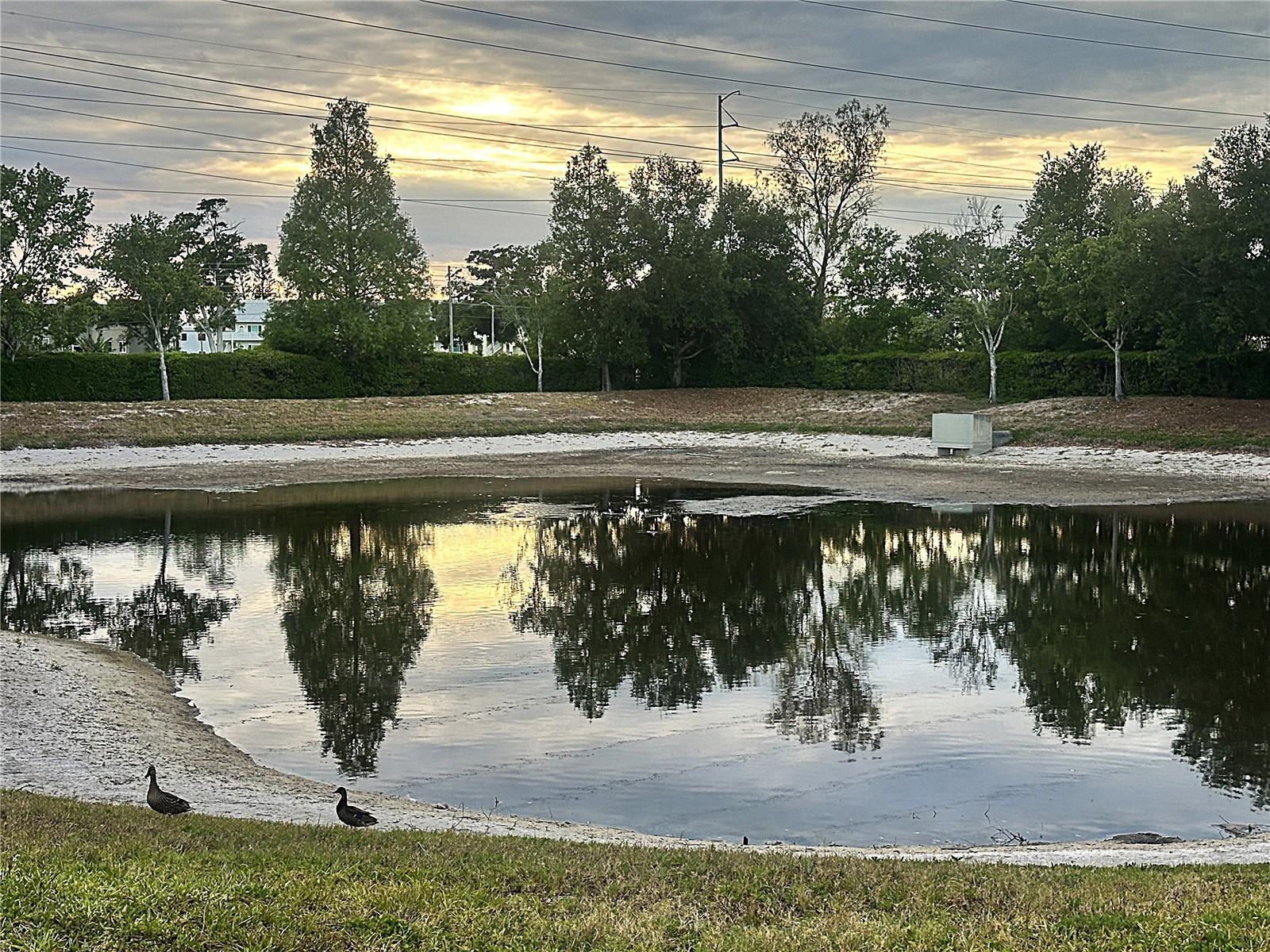 2048 Sun Down Drive Clearwater FL 33763 TB8506531 image30