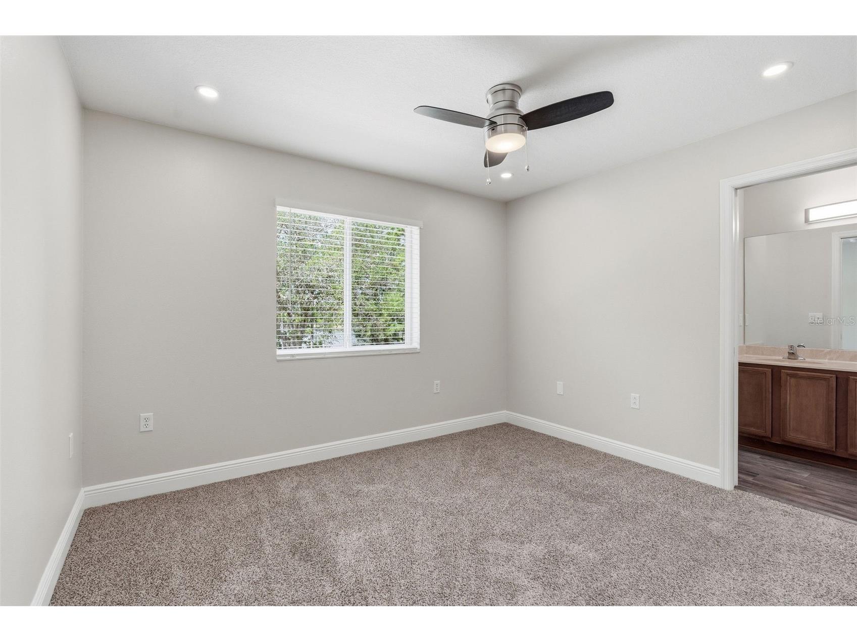 20484 Needletree Drive Tampa FL 33647 TB8497778 image13