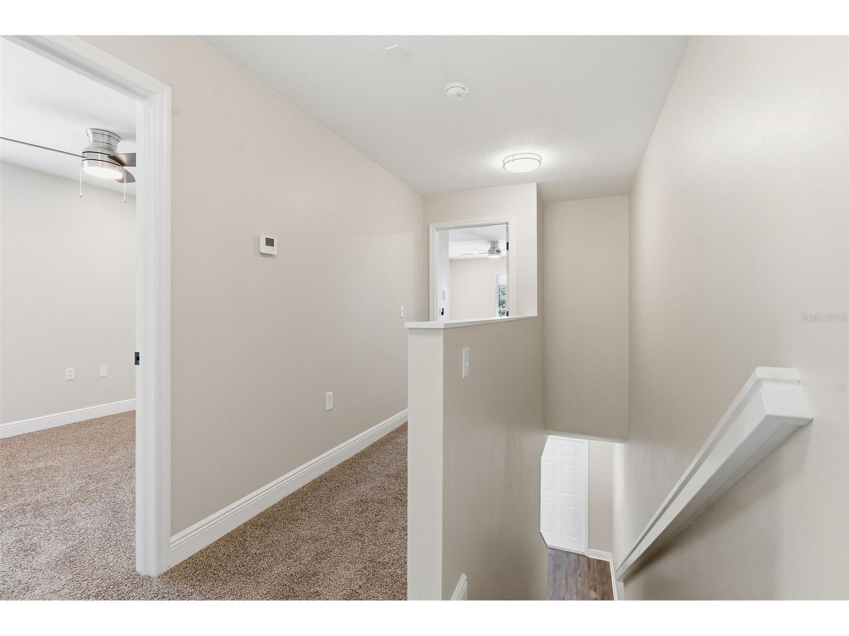 20484 Needletree Drive Tampa FL 33647 TB8497778 image18