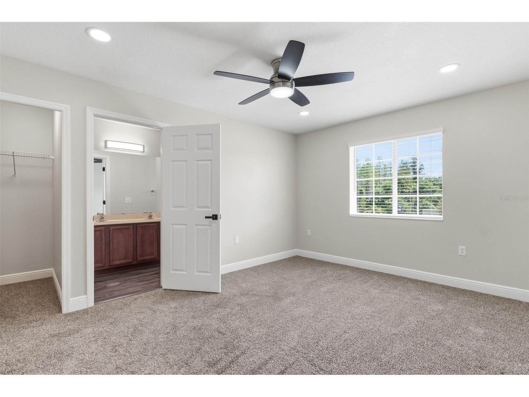 20484 Needletree Drive Tampa FL 33647 TB8497778 image20