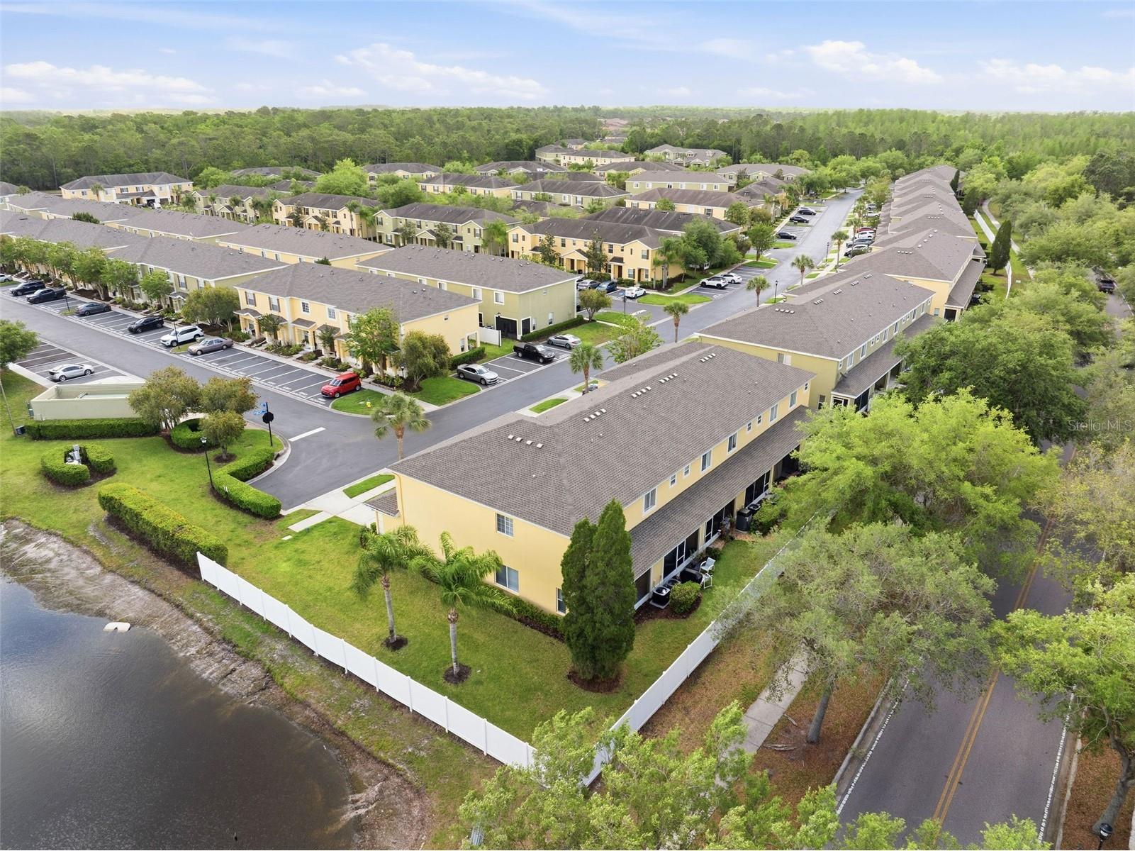 20484 Needletree Drive Tampa FL 33647 TB8497778 image25