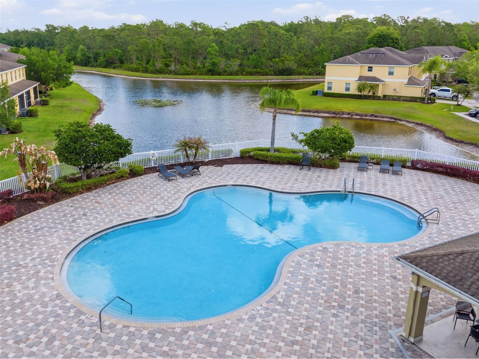 20484 Needletree Drive Tampa FL 33647 TB8497778 image26