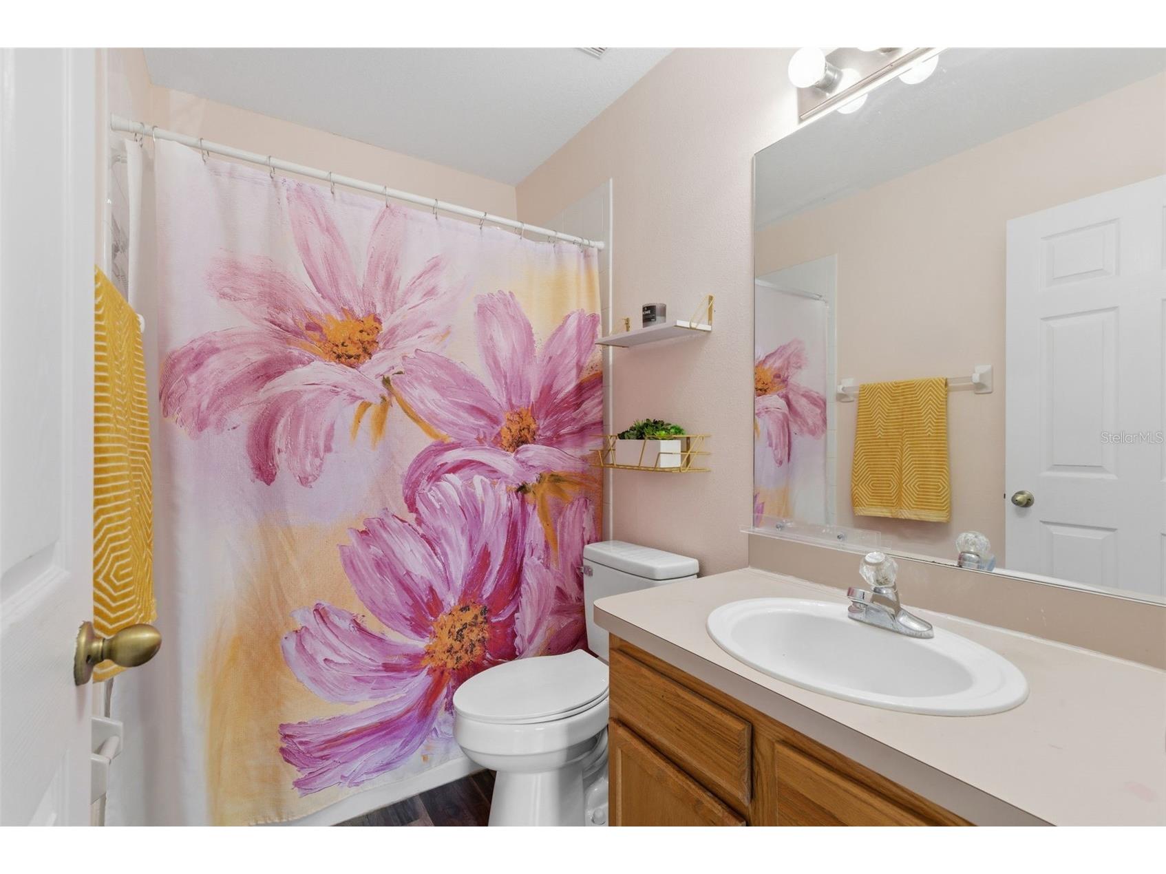2049 Fiesta Ridge Court Tampa FL 33604 TB8506260 image19