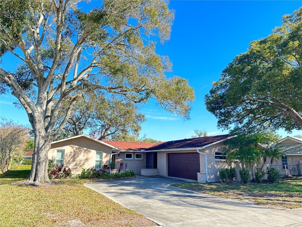 2049 Sandpiper Drive Palm Harbor FL 34683 U8227635 image1