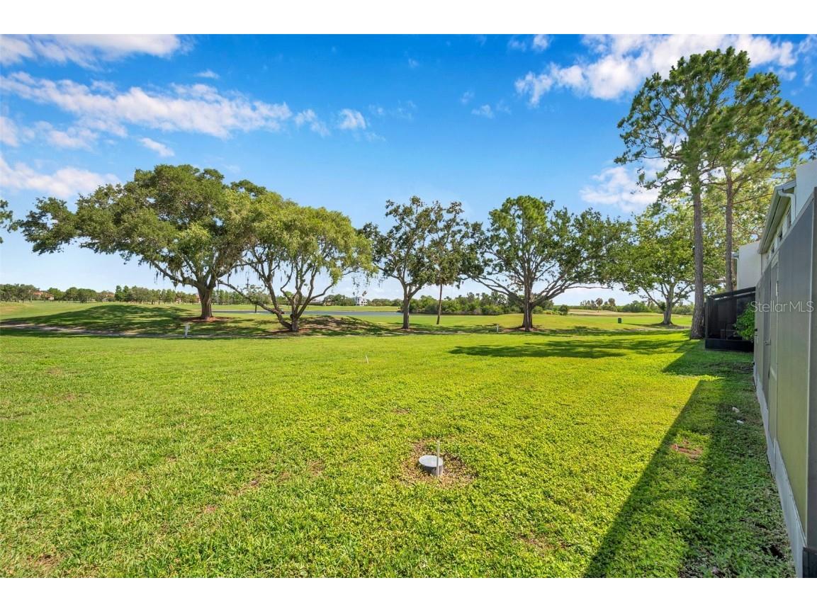 2049 Skimmer Court W #311 Clearwater FL 33762 TB8401522 image31