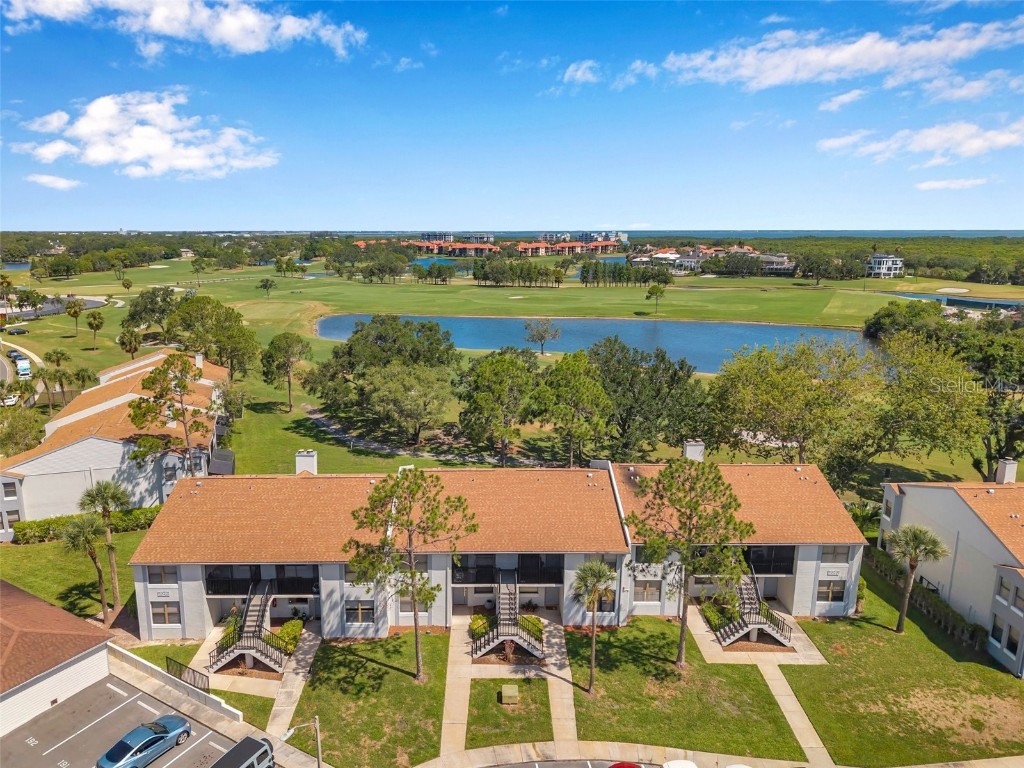 2049 Skimmer Court W #311 Clearwater FL 33762 TB8401522 image38