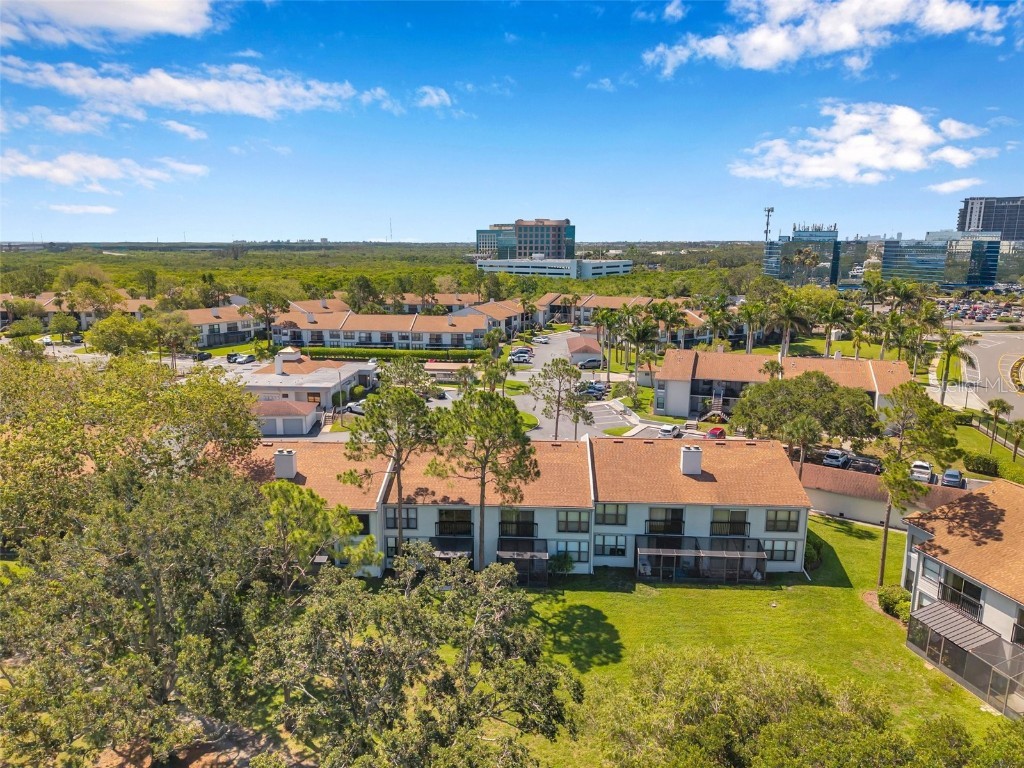 2049 Skimmer Court W #311 Clearwater FL 33762 TB8401522 image39