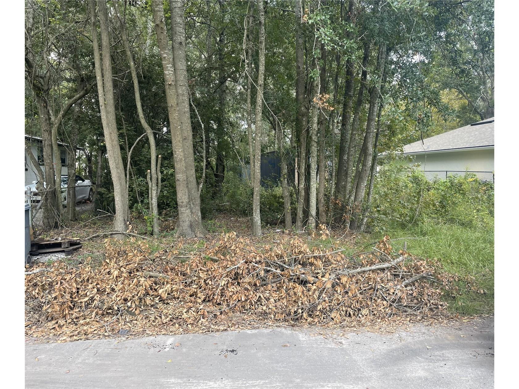 2049 W 6th Street Jacksonville FL 32209 O6376580 image1