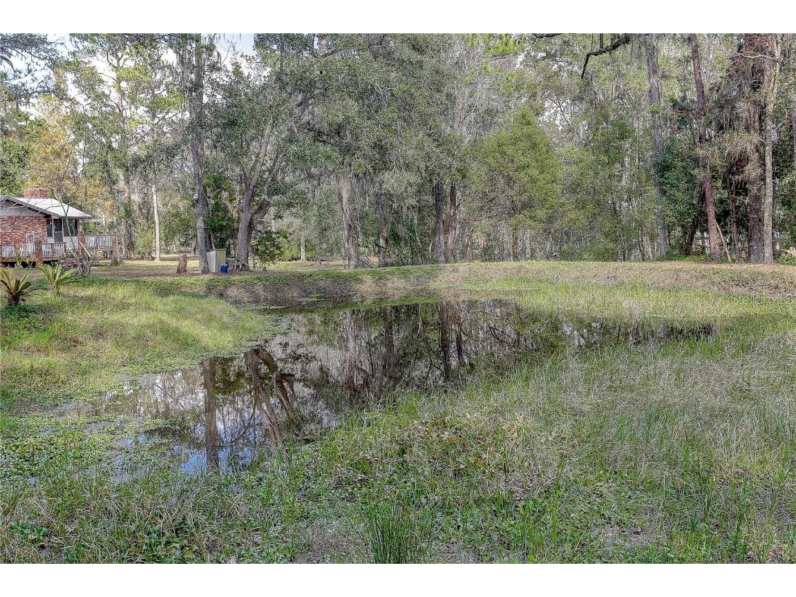 20490 Pinewood Dairy Road Brooksville FL 34601 TB8346292 image13