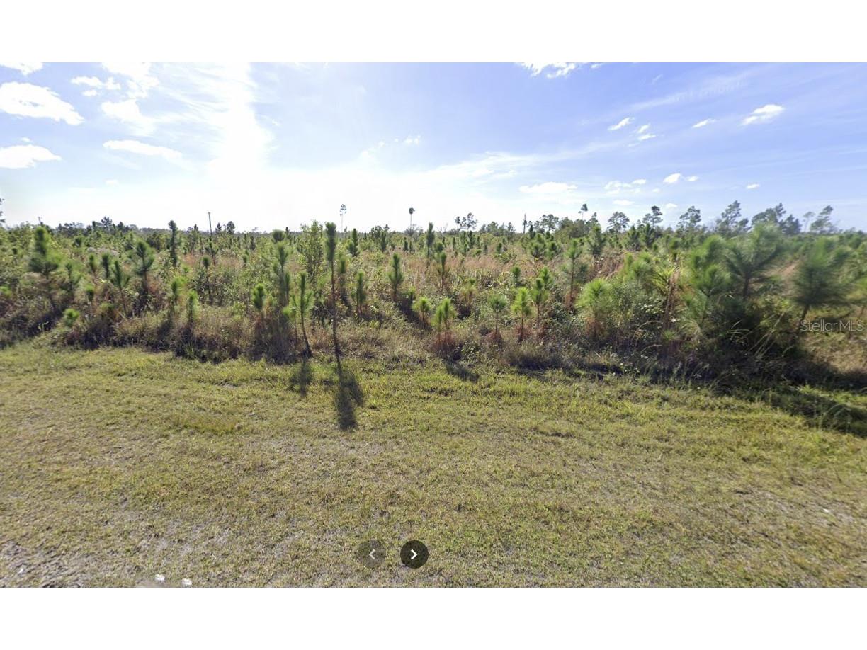 205 Alba Drive Indian Lake Estates FL 33855 - LAKE WALK-IN-WATER TB8343924 image1