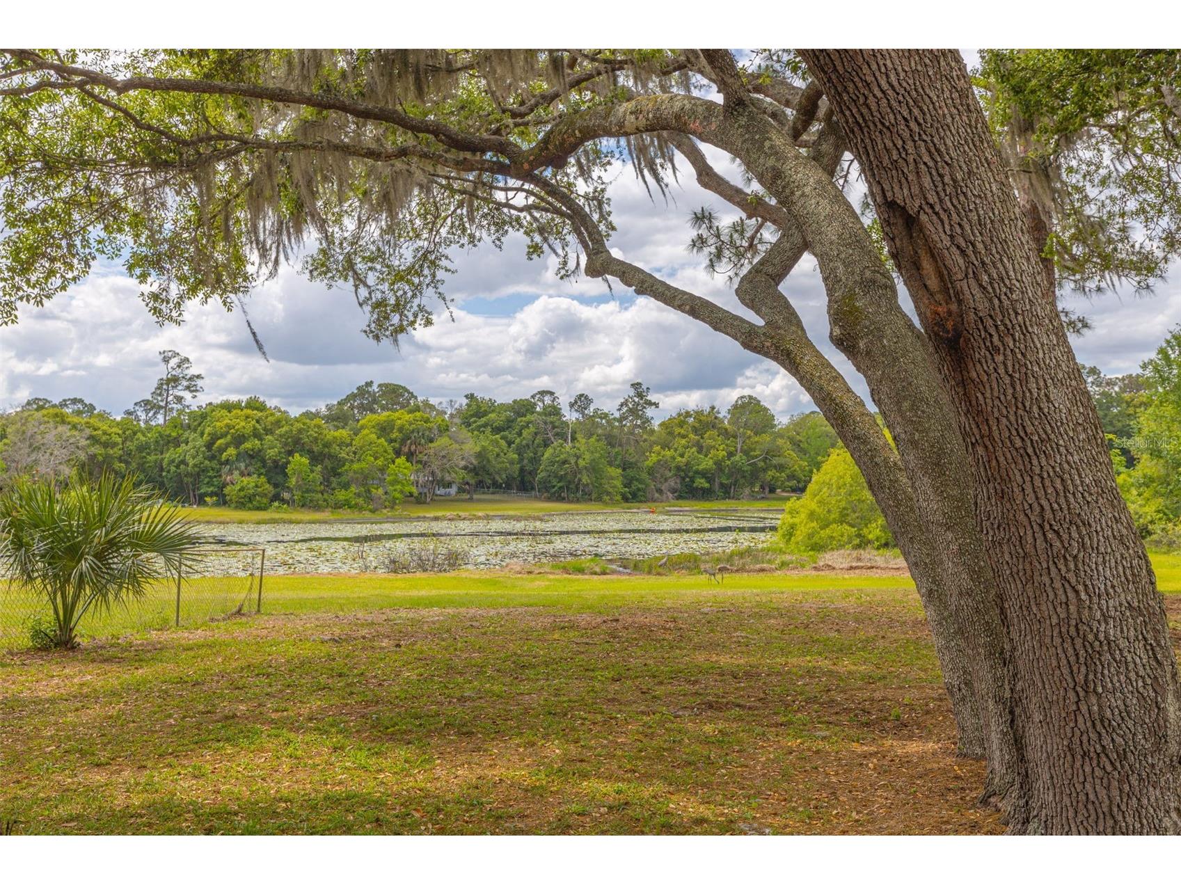205 Angeles Road Debary FL 32713 O6401741 image30