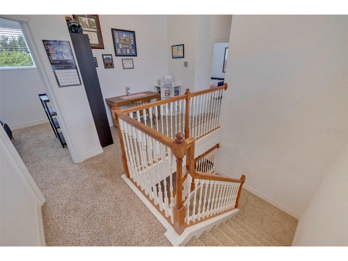 205 Bengal Circle Oldsmar FL 34677 OM714362 image21