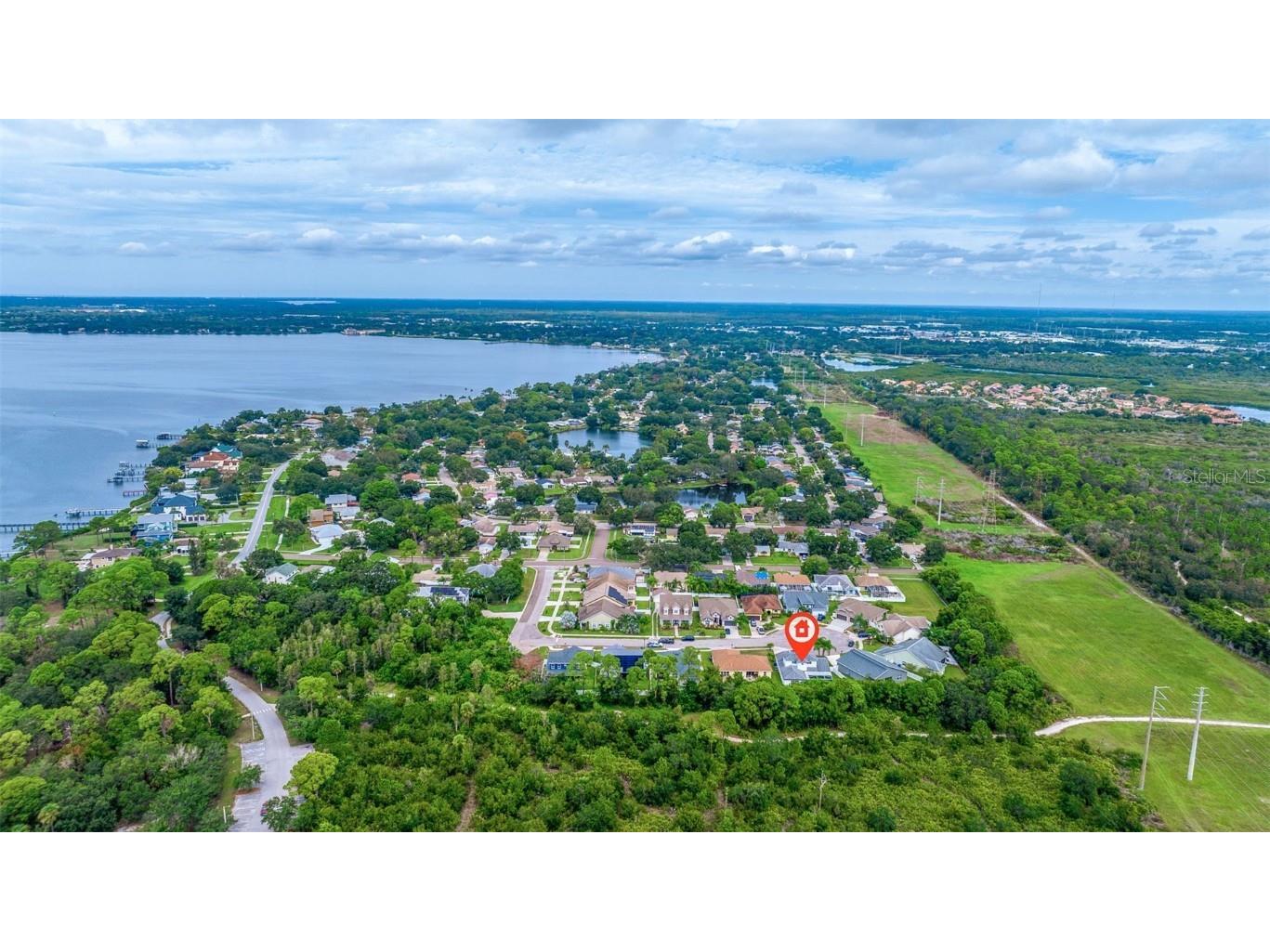 205 Bengal Circle Oldsmar FL 34677 OM714362 image37