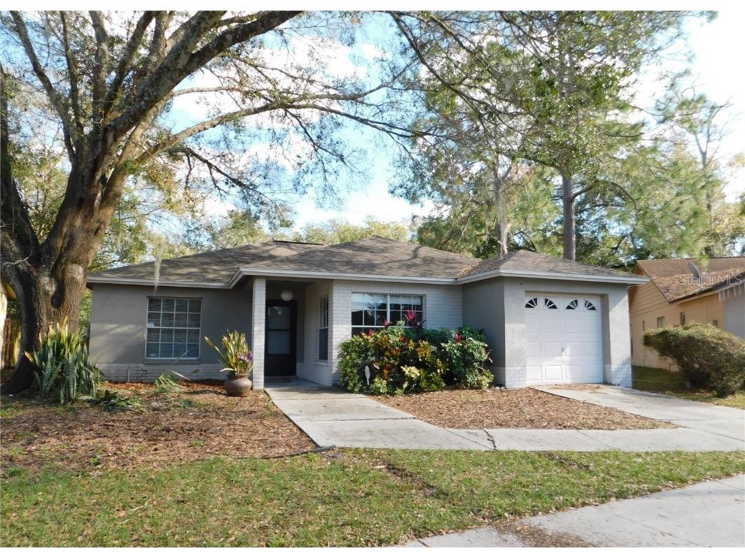 205 Benson Street Valrico FL 33594 T3440805 image1