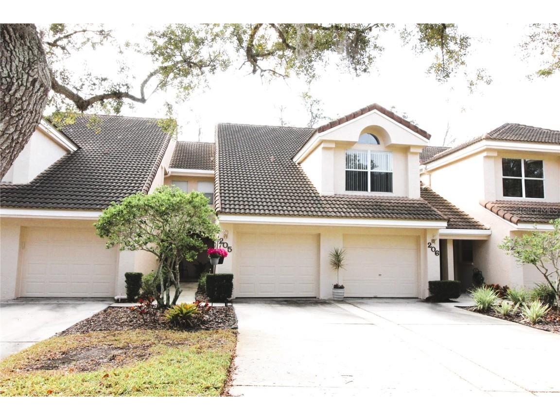 205 Clays Trail #205 Oldsmar FL 34677 U8218344 image1