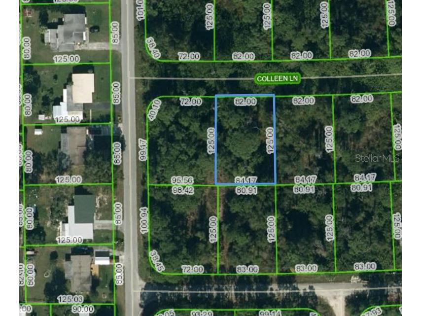 205 Colleen Lane Lake Placid FL 33852 OM621105 image1