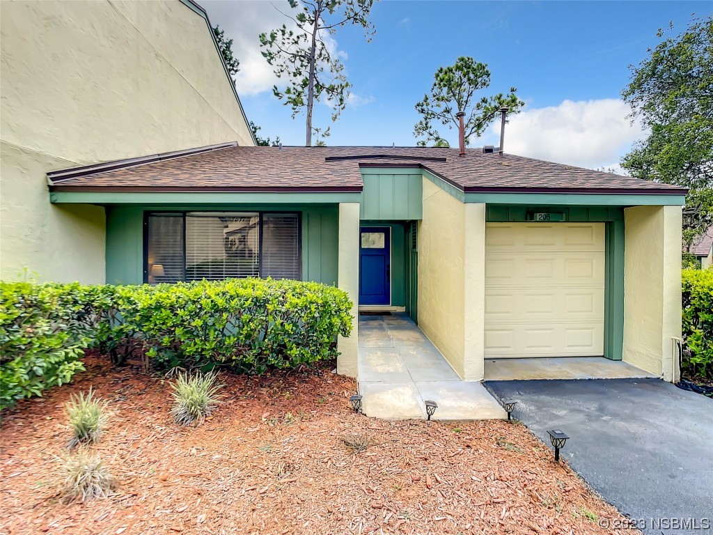 205 Clubhouse Boulevard New Smyrna Beach FL 32168 NS1075561 image1