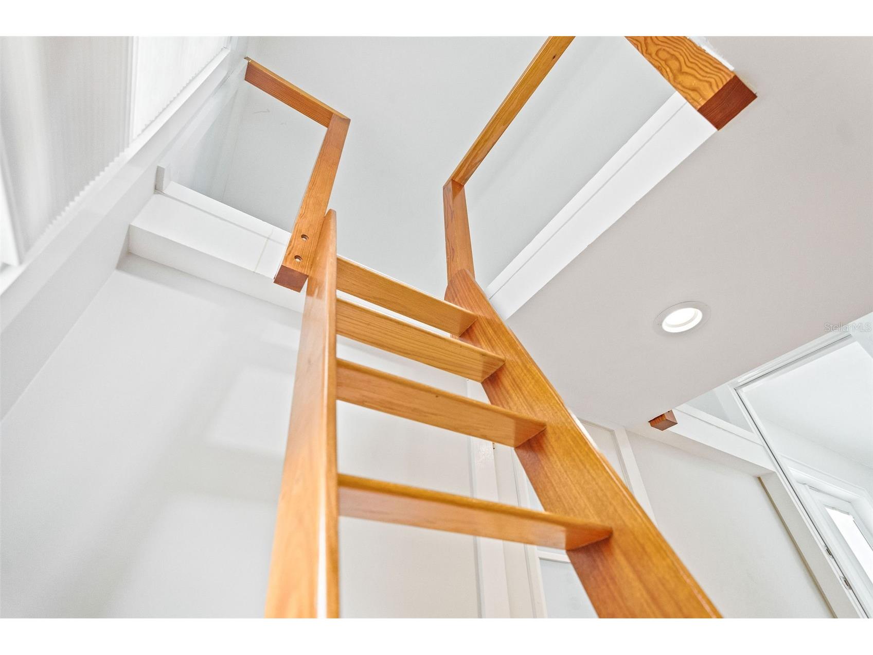 205 Garden Circle N Dunedin FL 34698 TB8487140 image27