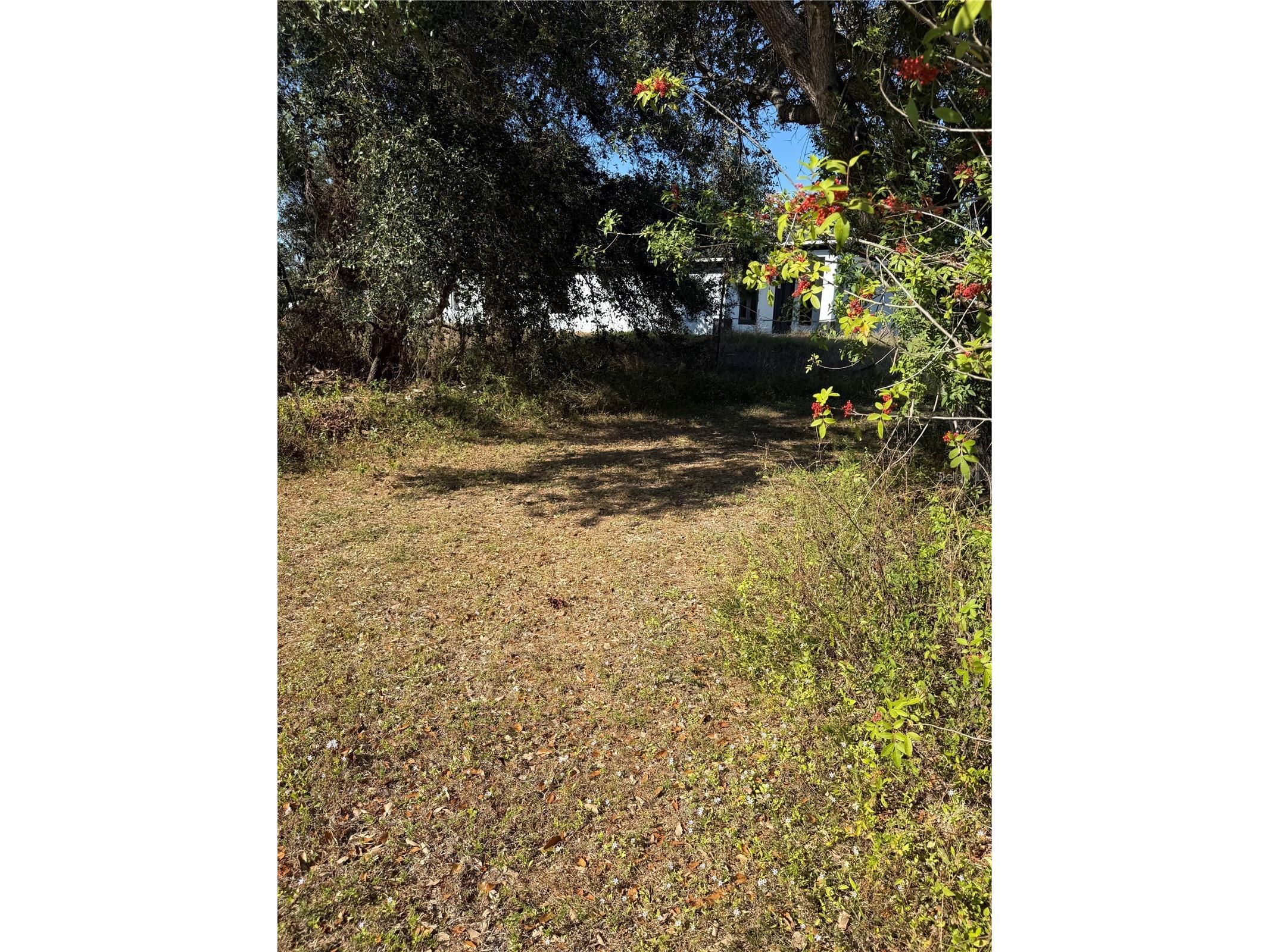 205 Gilbert Avenue N Lehigh Acres FL 33971 D6146175 image2