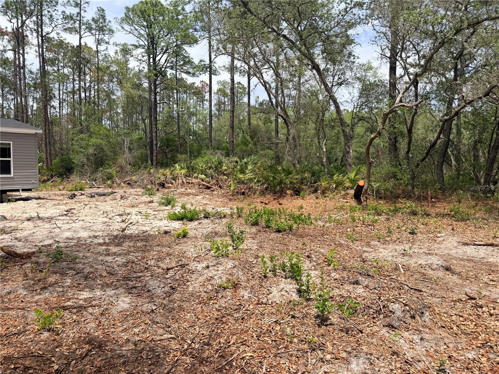 205 Hudson Street Interlachen FL 32148 O6408967 image24