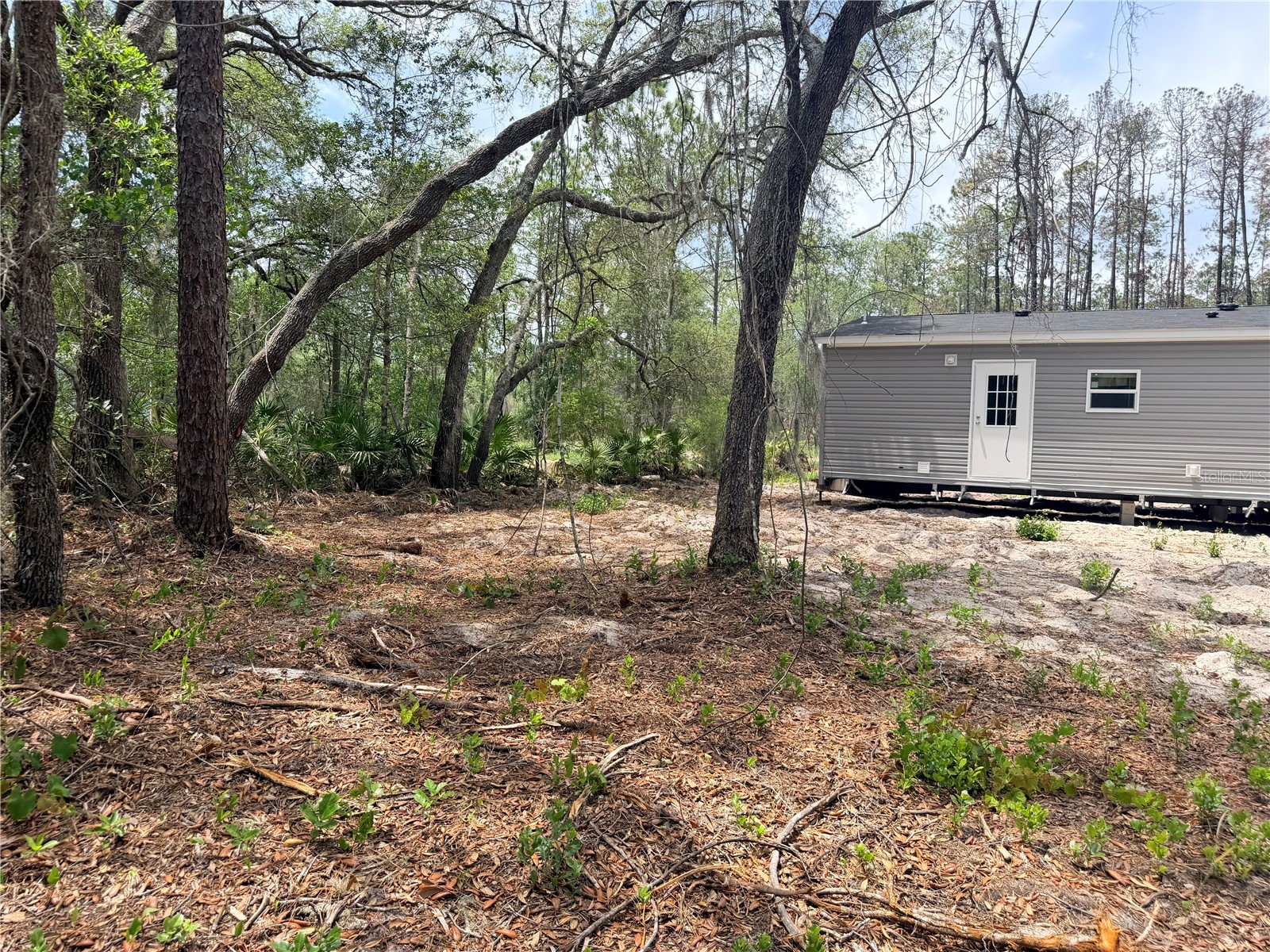 205 Hudson Street Interlachen FL 32148 O6408967 image25