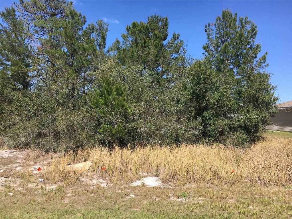 205 Hyacinth Court Poinciana FL 34759 O6099913 image1