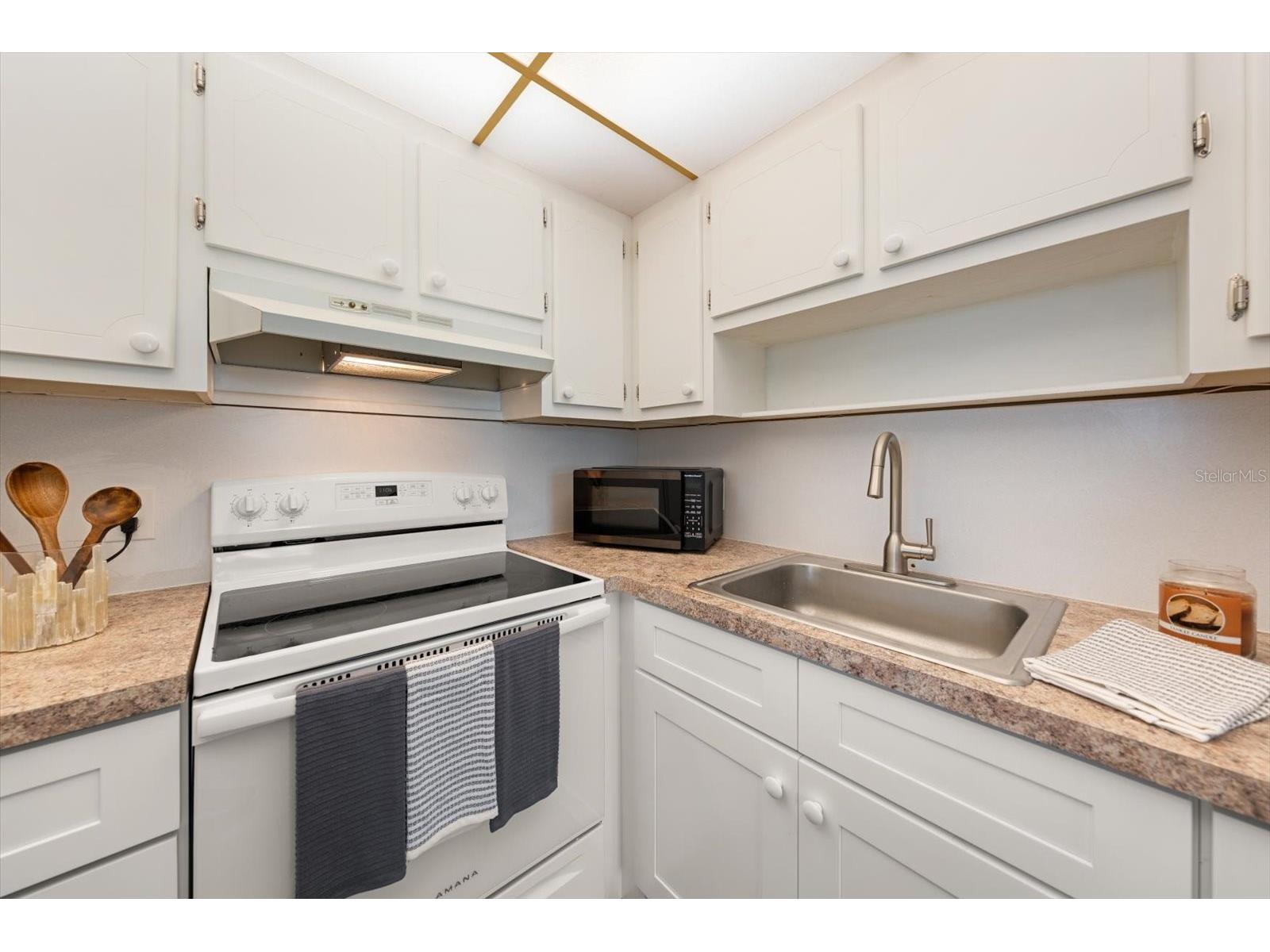 205 Kings Boulevard #62 Sun City Center FL 33573 TB8483730 image10