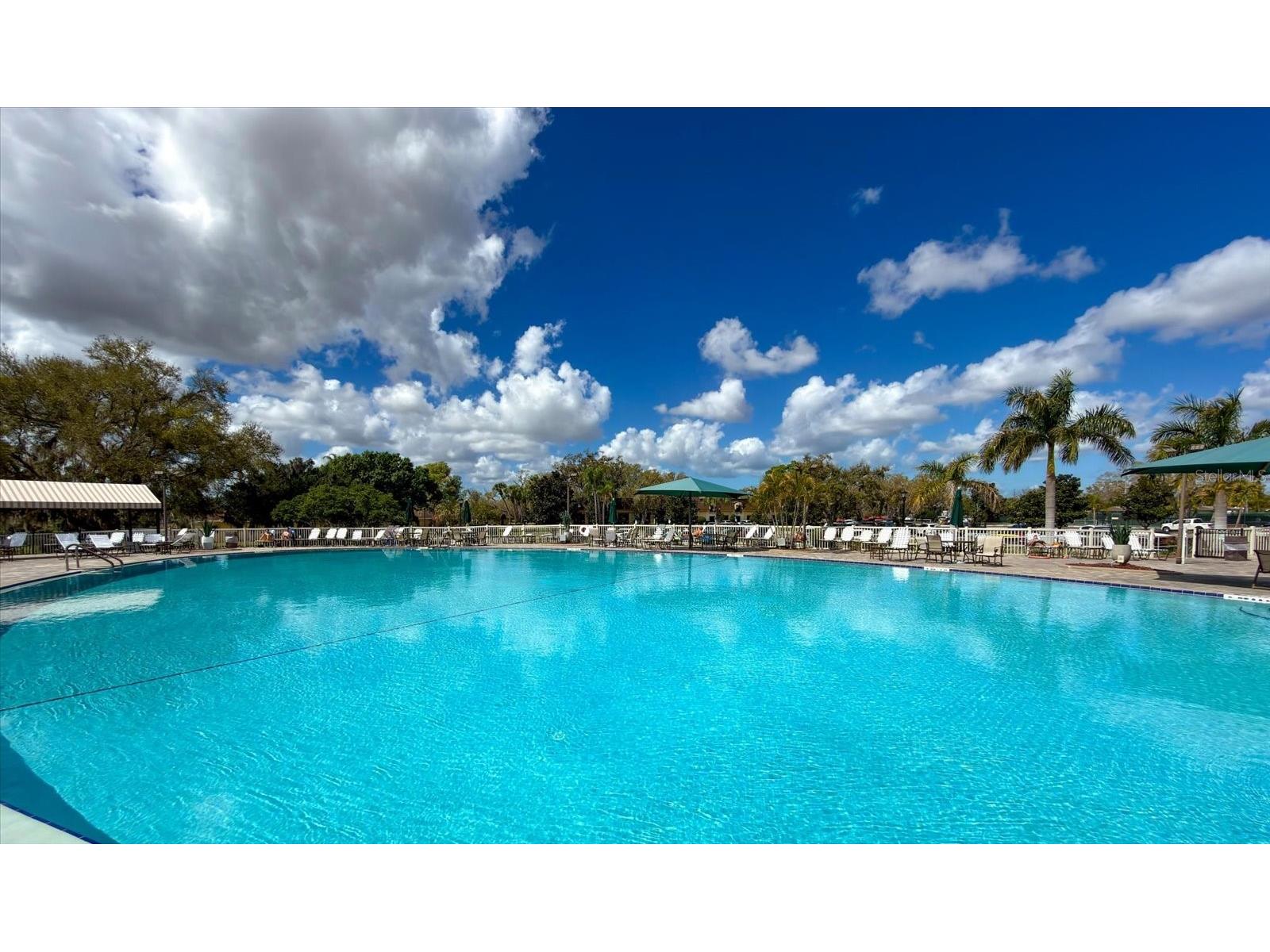 205 Kings Boulevard #62 Sun City Center FL 33573 TB8483730 image29