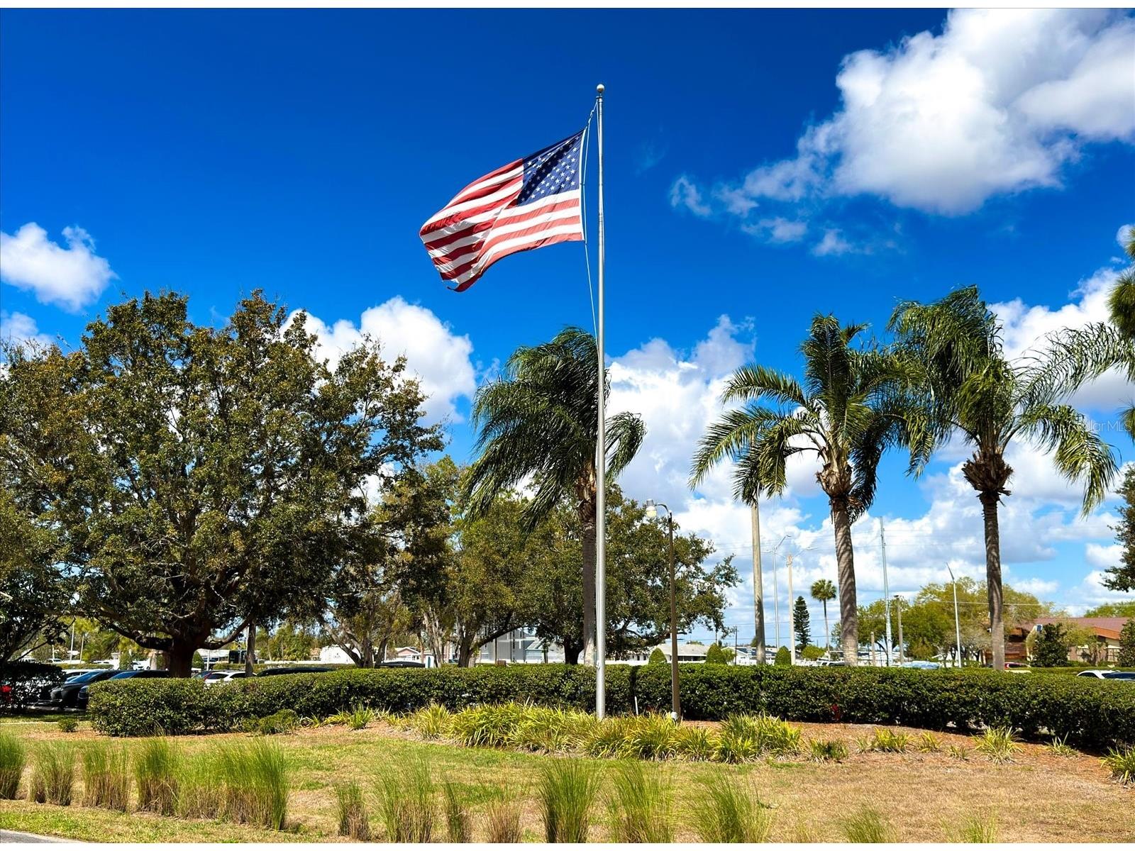 205 Kings Boulevard #62 Sun City Center FL 33573 TB8483730 image3