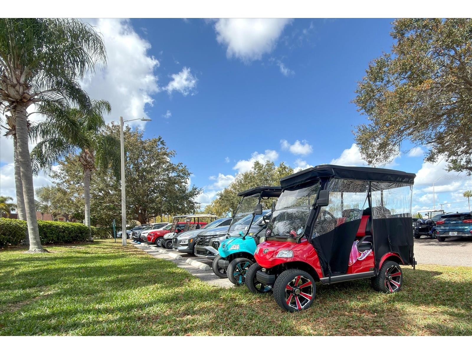 205 Kings Boulevard #62 Sun City Center FL 33573 TB8483730 image33